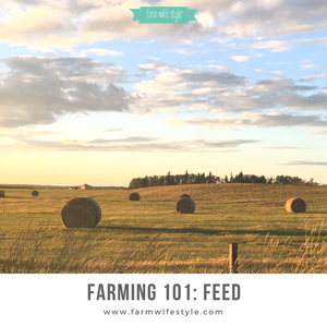 Farming 101: Feed